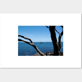 View through twisted pohutukawa tree branches across barge with crane blue ocean to distant horizon Posters and Art